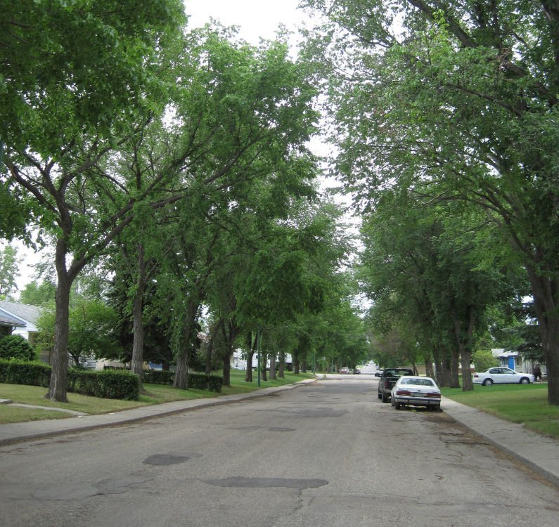 cityview street